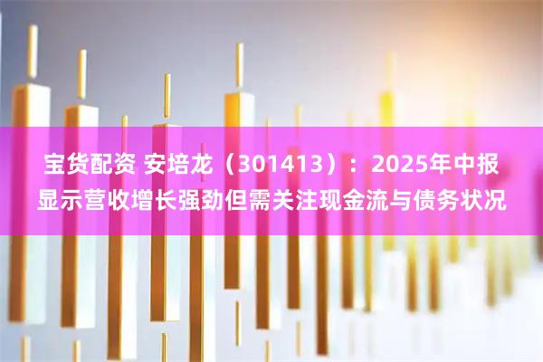 宝货配资 安培龙(301413):2025年中报显示营收增长强劲但需关注现金流与债务状况