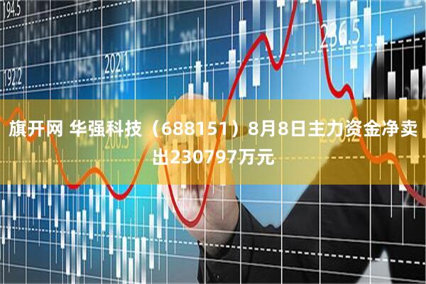 旗开网 华强科技（688151）8月8日主力资金净卖出230797万元
