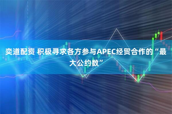 奕道配资 积极寻求各方参与APEC经贸合作的“最大公约数”
