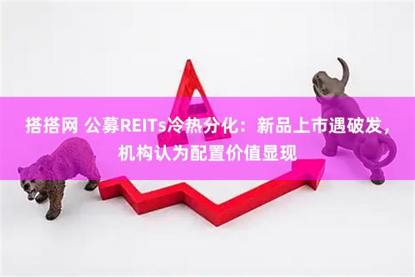 搭搭网 公募REITs冷热分化:新品上市遇破发,机构认为配置价值显现